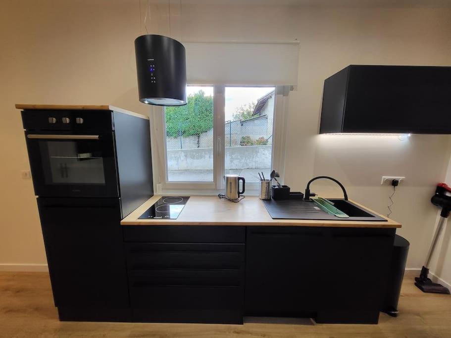 Appartement T2 Frangy ภายนอก รูปภาพ